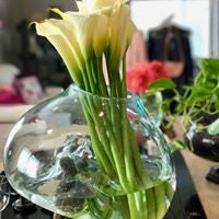 Beautiful Glass Vase on Driftwood Base